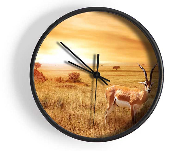 Gazelle in the grasslands Clock - Wallart-Direct UK