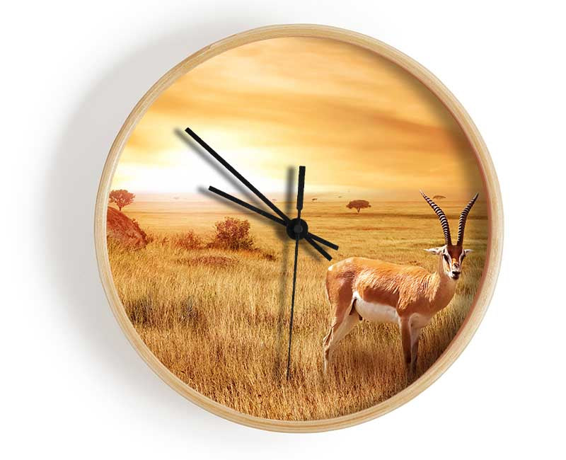 Gazelle in the grasslands Clock - Wallart-Direct UK