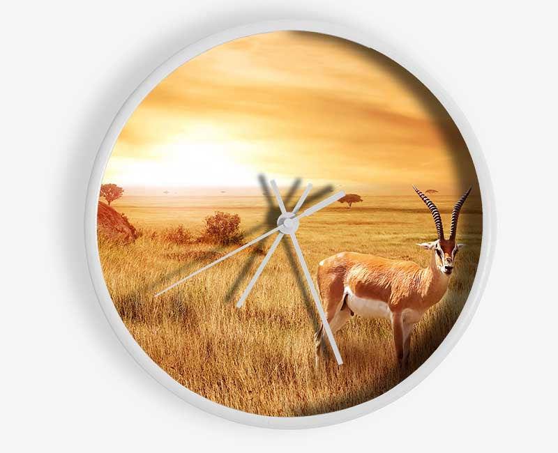 Gazelle in the grasslands Clock - Wallart-Direct UK