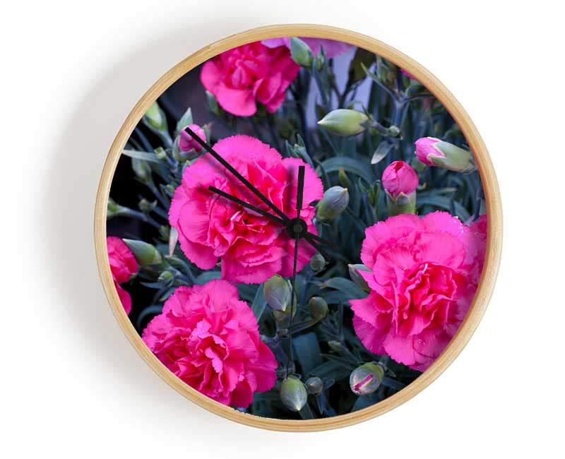 Pink flowers rising Clock - Wallart-Direct UK