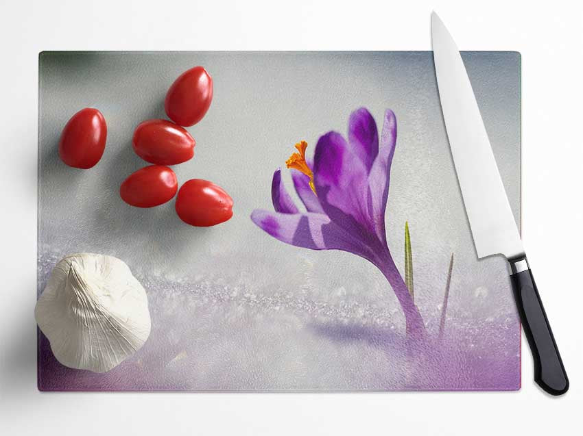 Purple Crocus flower Glass Chopping Board