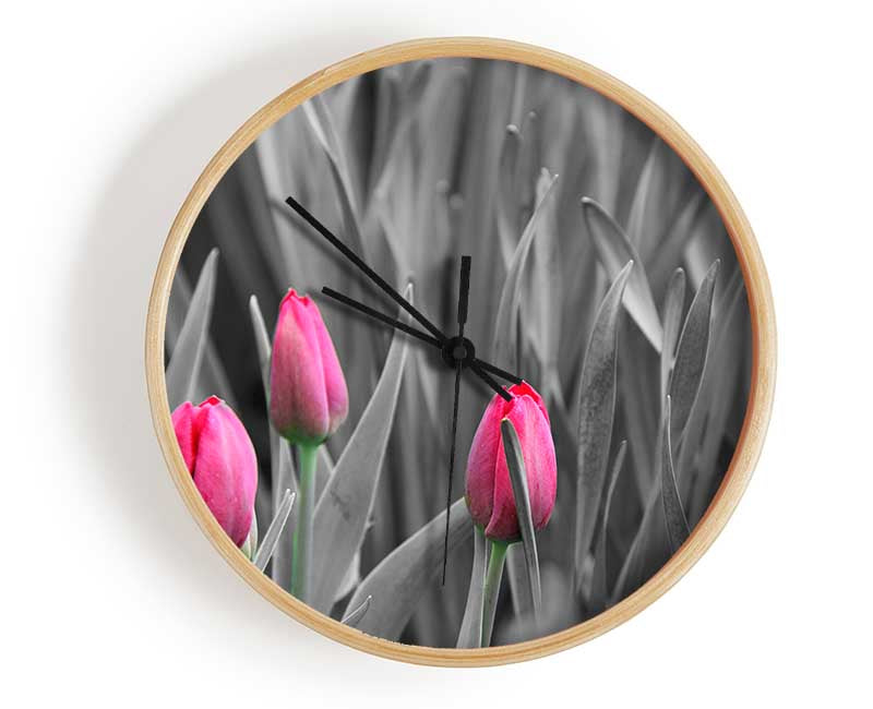 Pink tulips black and white Clock - Wallart-Direct UK