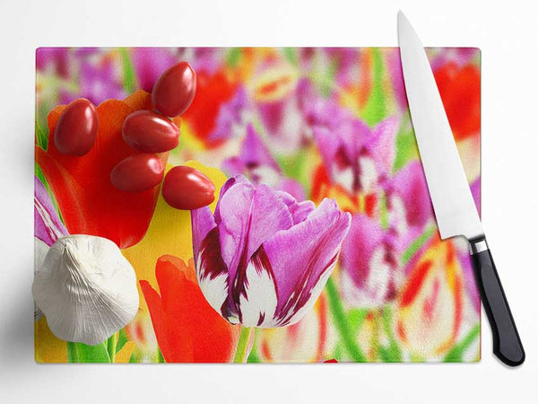 Colourful tulips in up close Glass Chopping Board