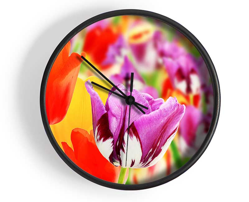 Colourful tulips in up close Clock - Wallart-Direct UK