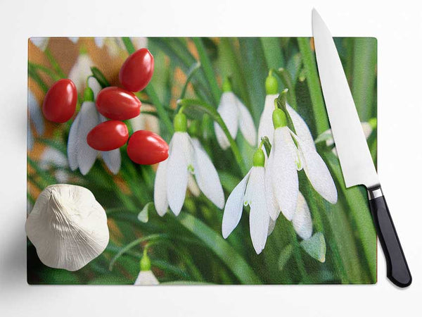 White snowdrops falling down Glass Chopping Board