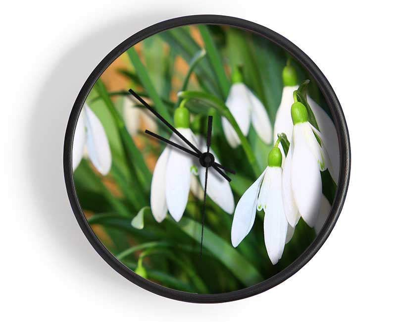 White snowdrops falling down Clock - Wallart-Direct UK