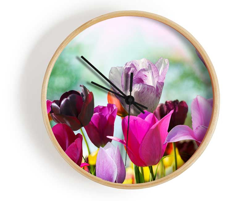 Multiple coloured tulips Clock - Wallart-Direct UK