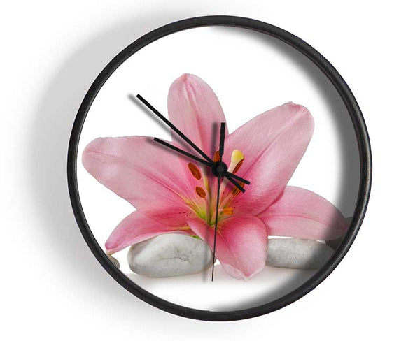 Pink Lilly on grey pebbles Clock - Wallart-Direct UK