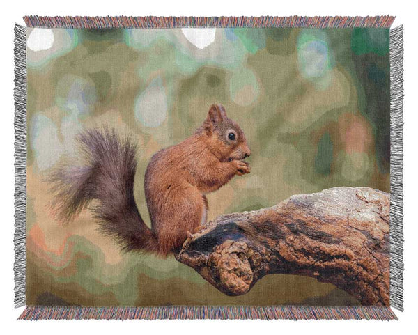 Squirrell eating nuts on branch Woven Blanket