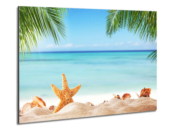 Starfish on the beach scene