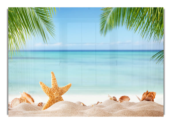 Starfish on the beach scene