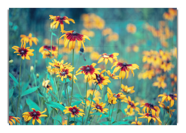 Yellow flowers in the greenery