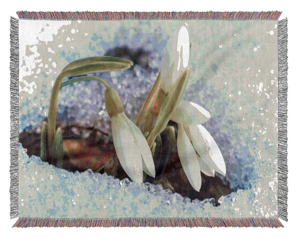 White snowdrops peering through the snow Woven Blanket