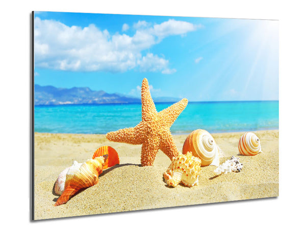 Starfish standing in the sand