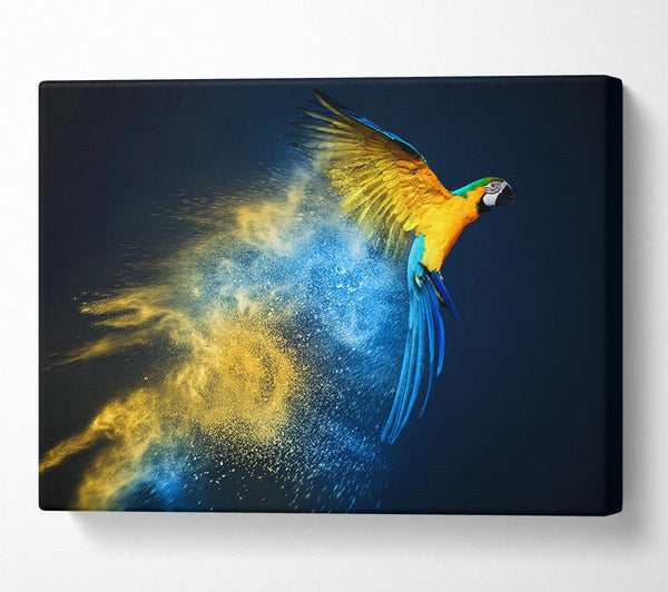 Picture of powder parrot take off Canvas Print Wall Art