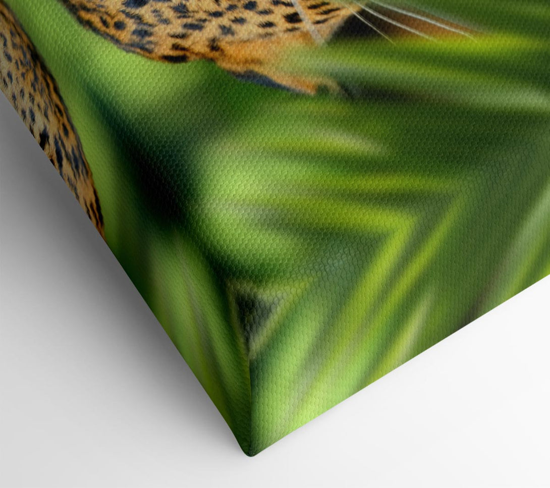 Picture of Fierce leopard in the grass Canvas Print Wall Art