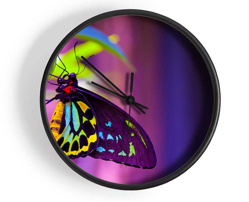 Butterfly closeup on a leaf Clock - Wallart-Direct UK