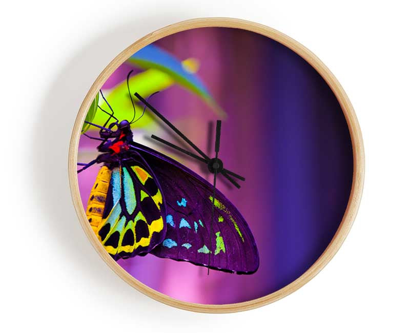 Butterfly closeup on a leaf Clock - Wallart-Direct UK