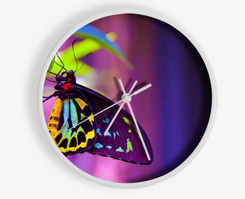 Butterfly closeup on a leaf Clock - Wallart-Direct UK