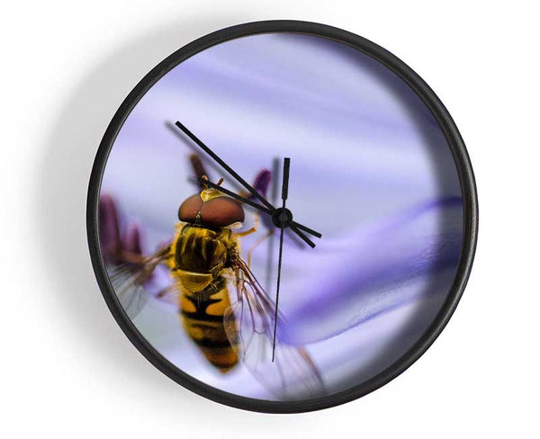 Hover fly on a purple flower Clock - Wallart-Direct UK