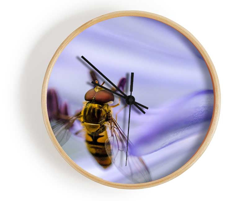 Hover fly on a purple flower Clock - Wallart-Direct UK