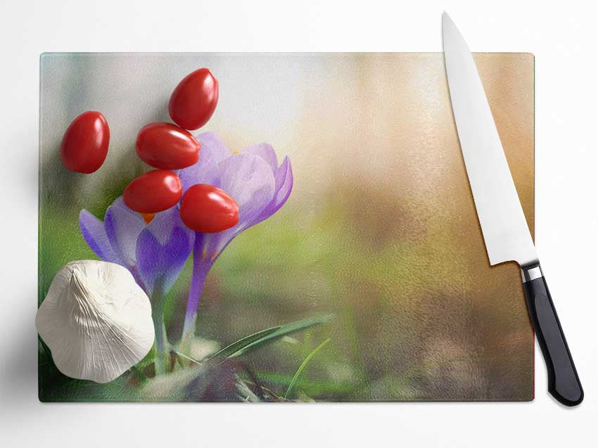 Purple crocus in soft focus Glass Chopping Board