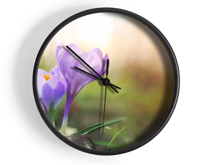 Purple crocus in soft focus Clock - Wallart-Direct UK