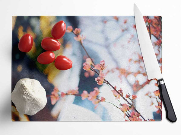 Cherry blossum in focus Glass Chopping Board