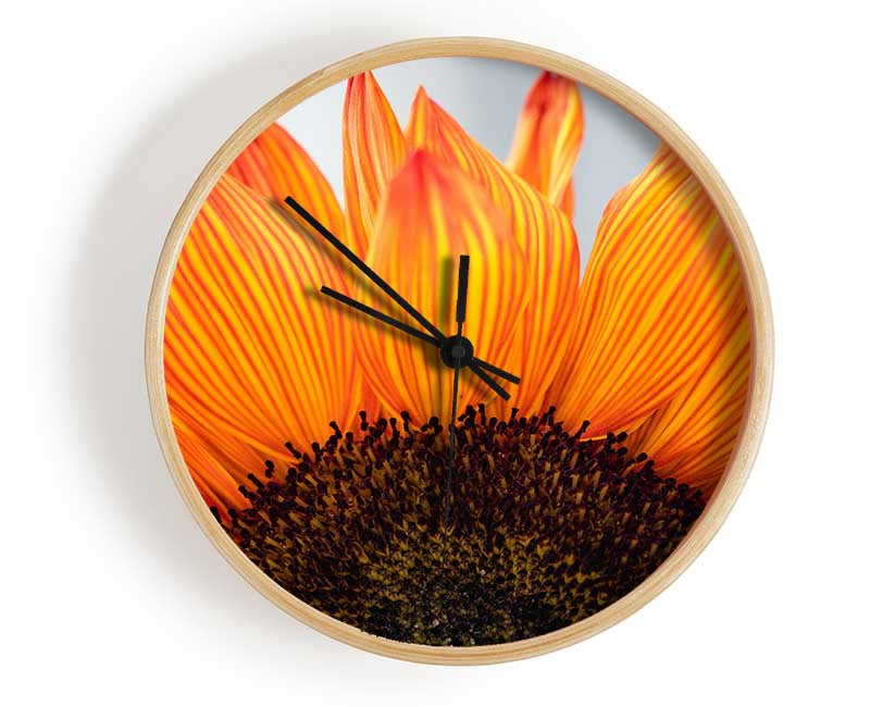 Orange flower opening up close up Clock - Wallart-Direct UK