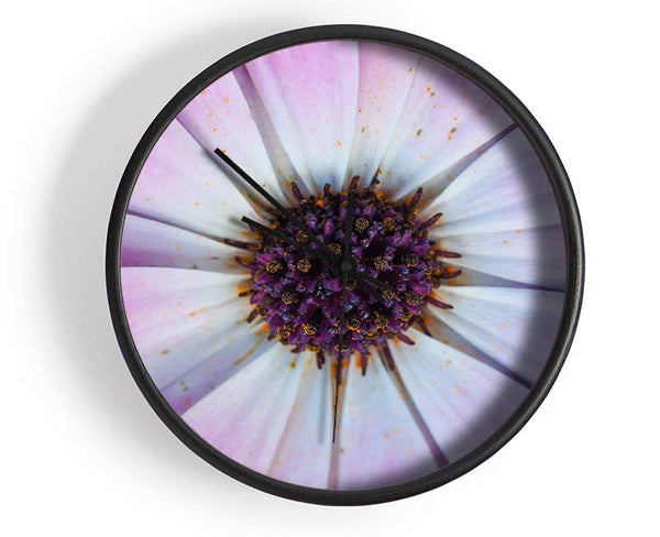 Purple flower close up and personal Clock - Wallart-Direct UK