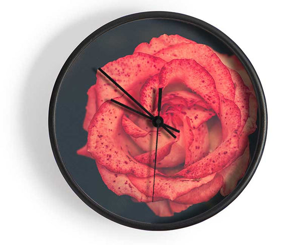 Pretty speckled flower Clock - Wallart-Direct UK