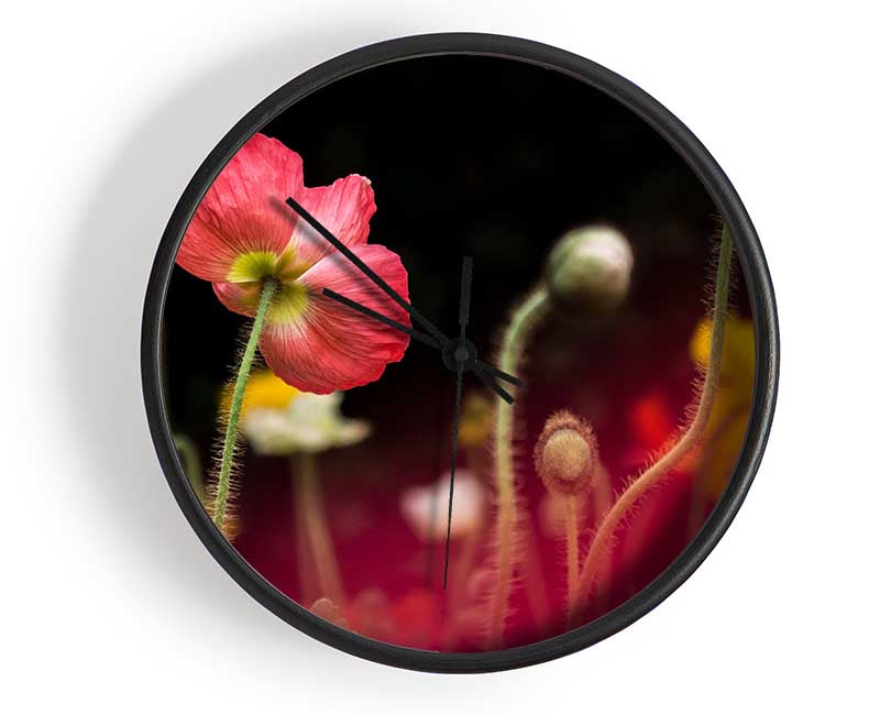 Poppy standing tall Clock - Wallart-Direct UK