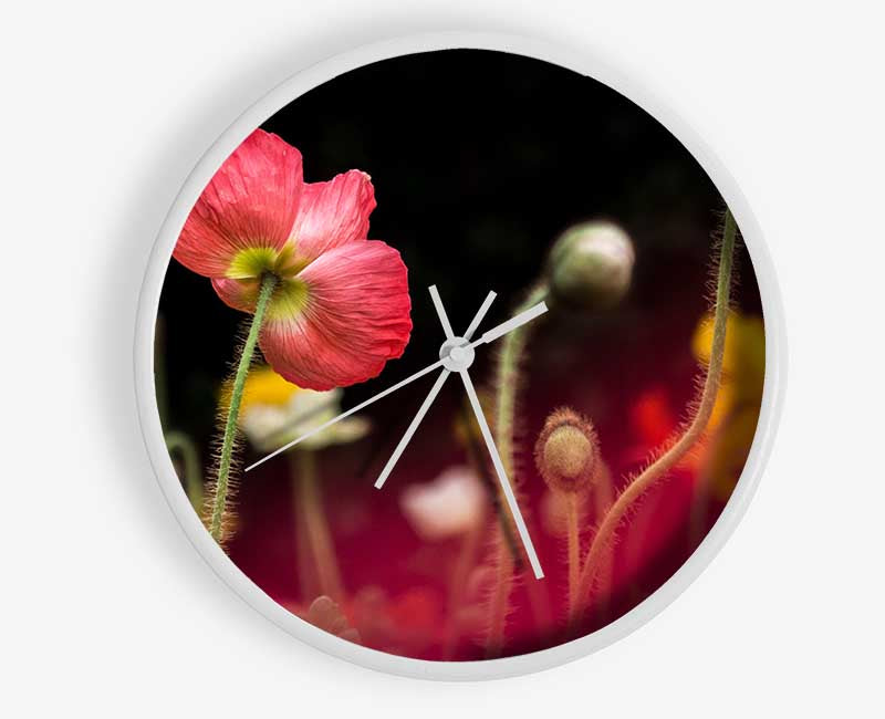 Poppy standing tall Clock - Wallart-Direct UK