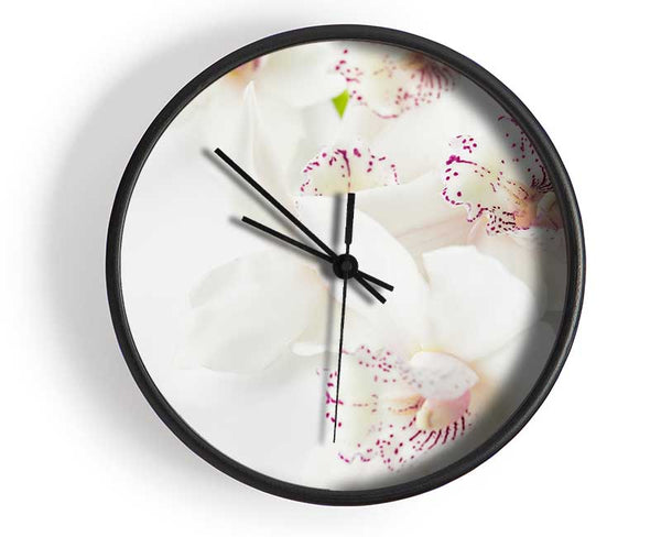 Orchid bliss Clock - Wallart-Direct UK