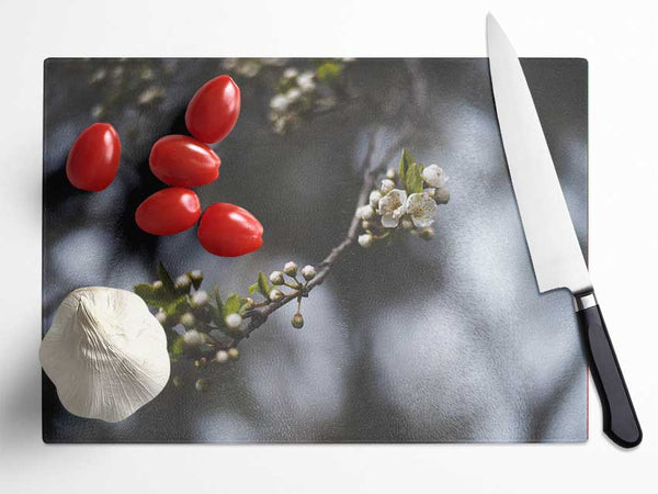 White blossom tree in soft focus Glass Chopping Board