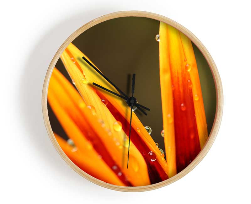 Water droplets on a yellow flower Clock - Wallart-Direct UK