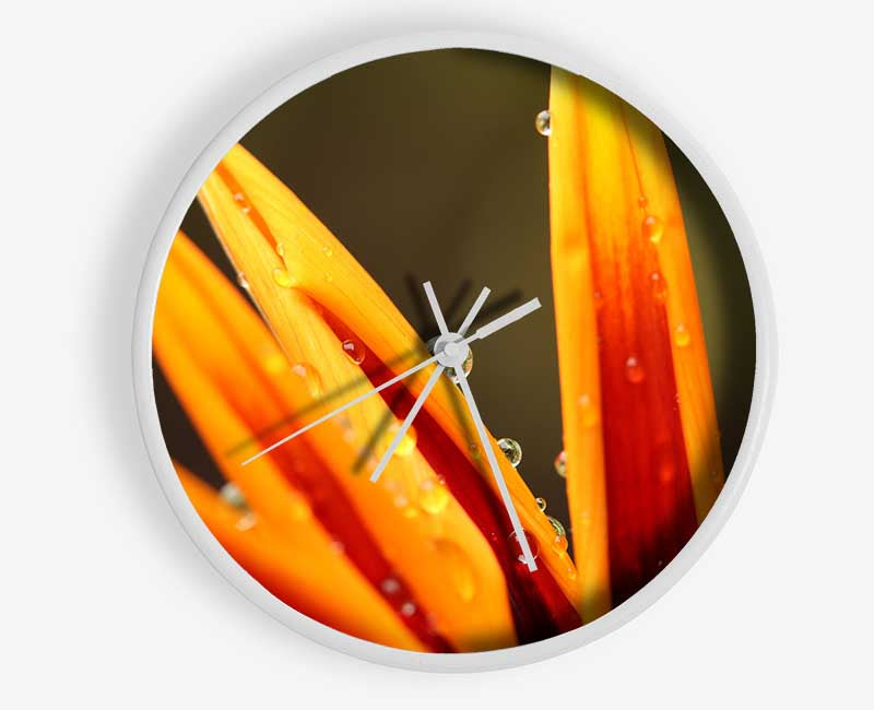 Water droplets on a yellow flower Clock - Wallart-Direct UK