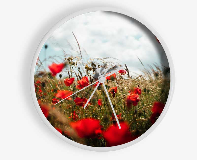 Red Poppies reaching the sky Clock - Wallart-Direct UK