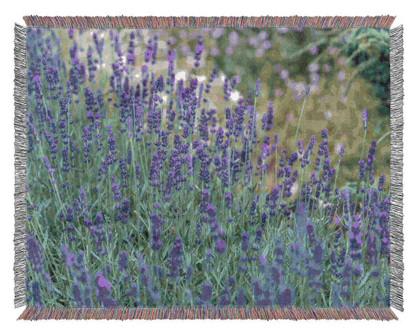 Purple flowers in the meadow spring Woven Blanket