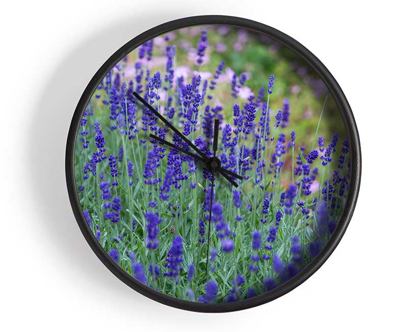 Purple flowers in the meadow spring Clock - Wallart-Direct UK