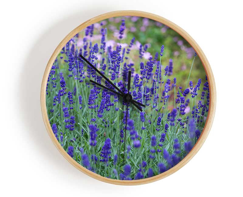 Purple flowers in the meadow spring Clock - Wallart-Direct UK