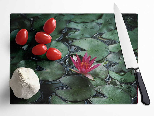 Lotus peering above the lilly pads Glass Chopping Board