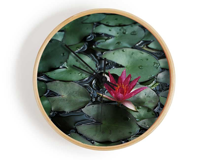 Lotus peering above the lilly pads Clock - Wallart-Direct UK