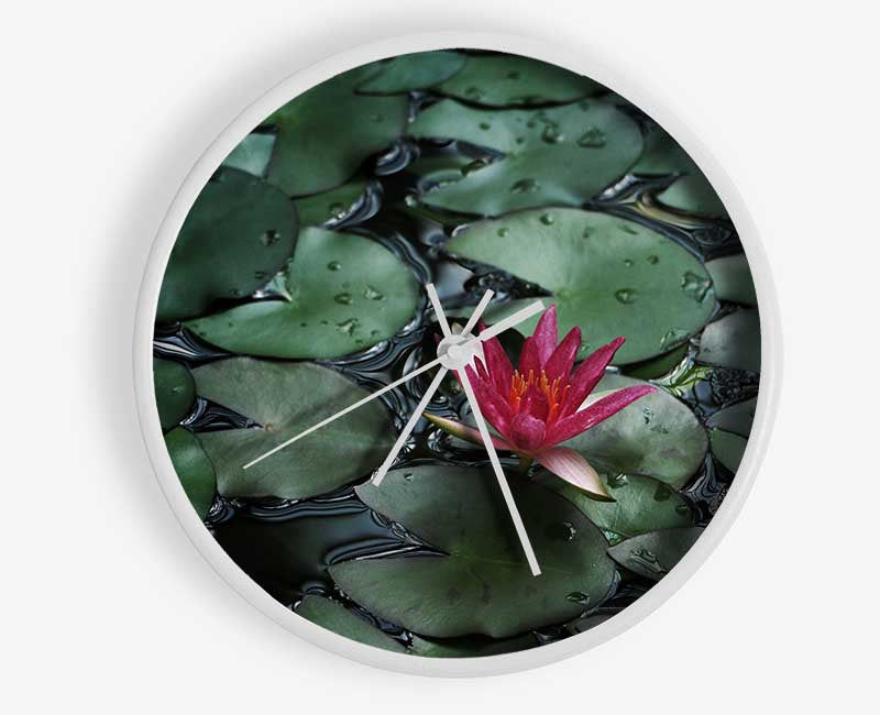 Lotus peering above the lilly pads Clock - Wallart-Direct UK