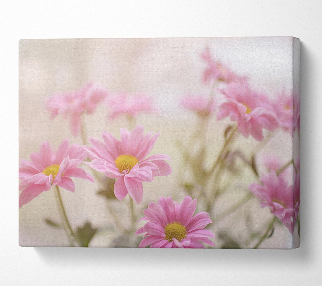 Picture of Pink flowers in soft light Canvas Print Wall Art