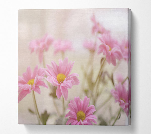 A Square Canvas Print Showing Pink flowers in soft light Square Wall Art