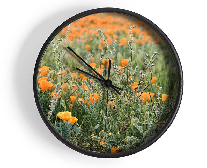 Orange flowers in the spring field Clock - Wallart-Direct UK