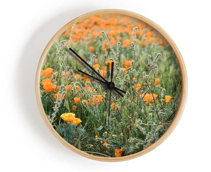 Orange flowers in the spring field Clock - Wallart-Direct UK