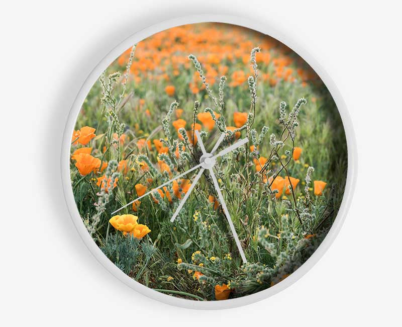 Orange flowers in the spring field Clock - Wallart-Direct UK