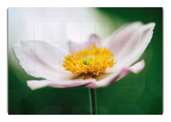 Landing pad flower